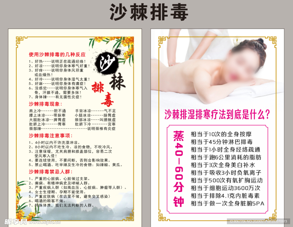 沙棘排毒展板海报