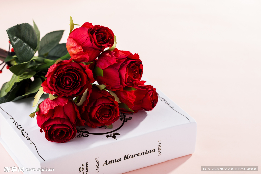 粉色背景上的玫瑰花