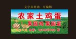 农家土鸡蛋广告