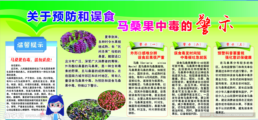 马桑果中毒宣传