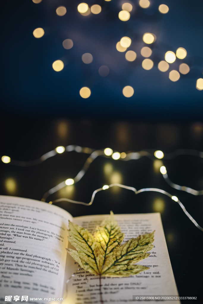 阅读看书翻书图片