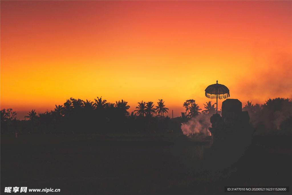 晚霞 树木 火烧云 天空