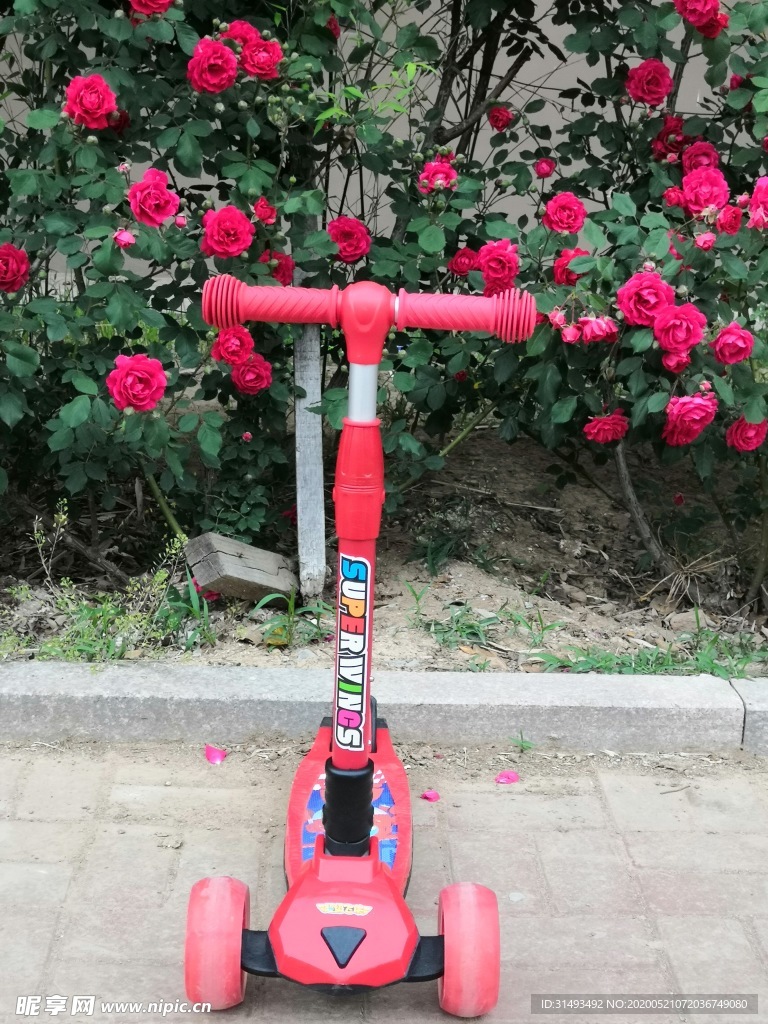 春天花园红色月季花朵滑板车玩具