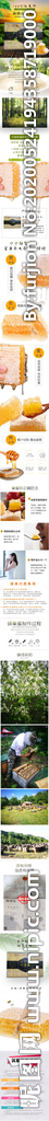 蜂蜜产品详情图