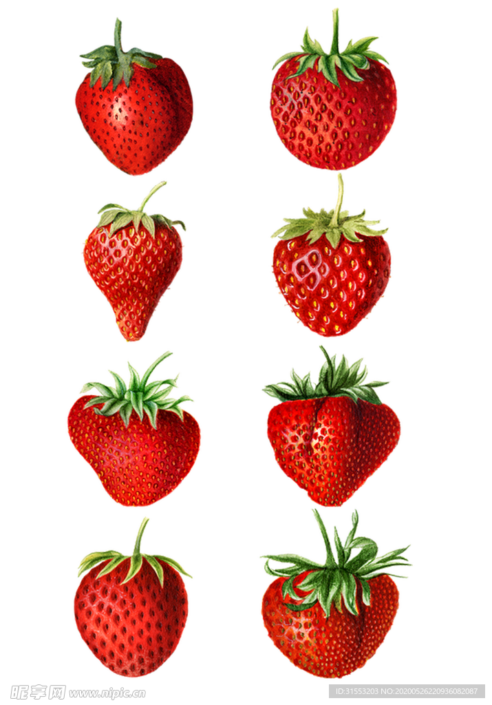 手绘草莓素材 PNG 免抠