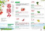 蔬菜dm单