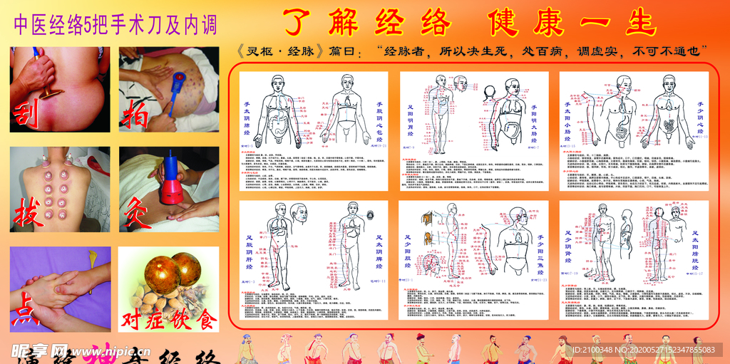 了解经络 健康一生