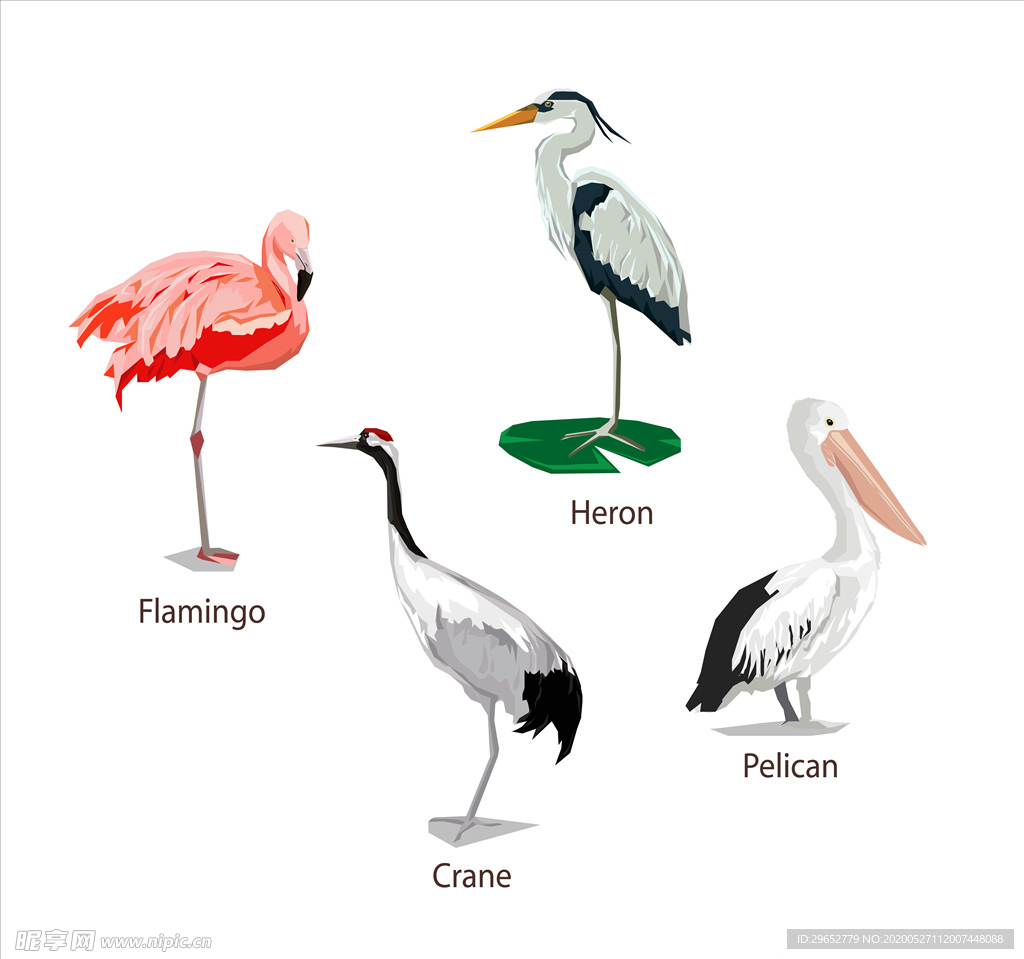 卡通仙鹤火烈鸟