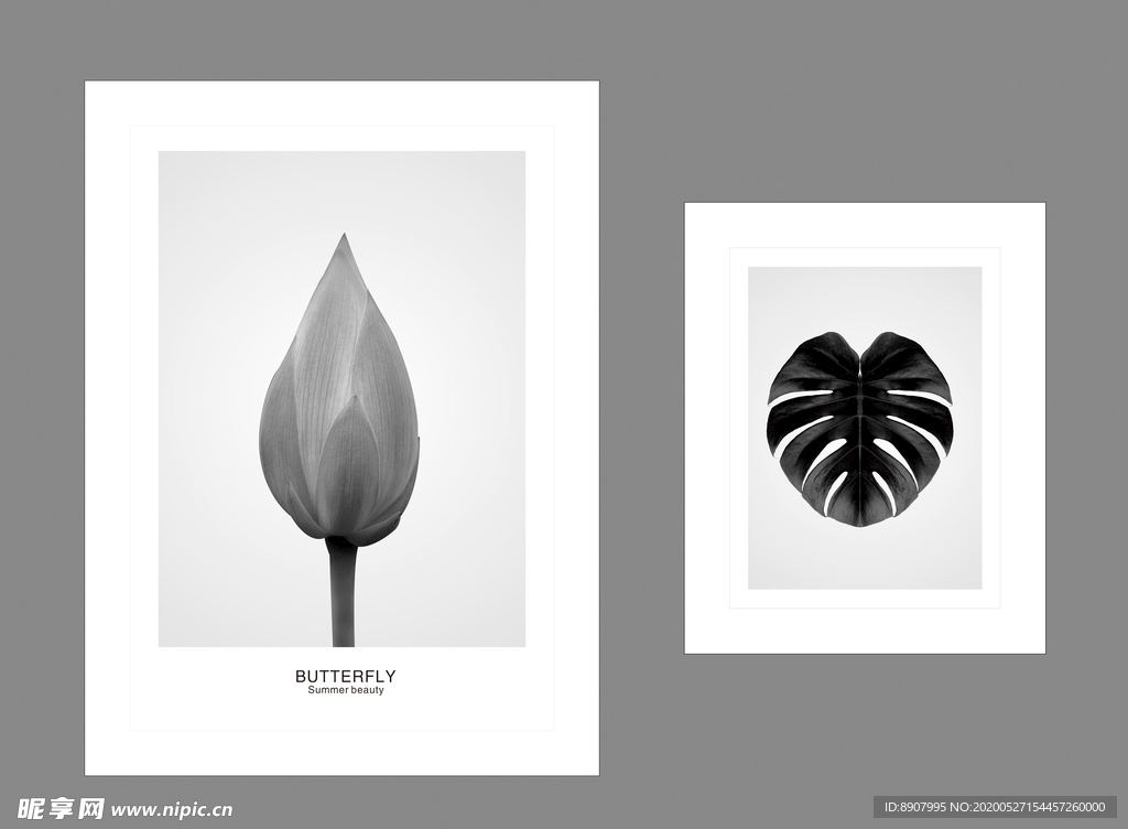 荷花 蝴蝶 客厅装饰画