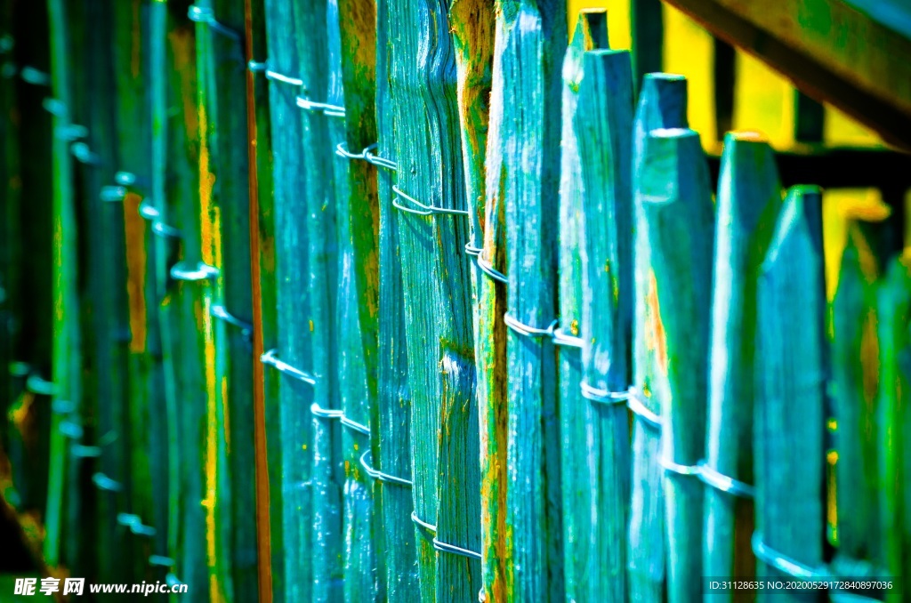 竹子背景