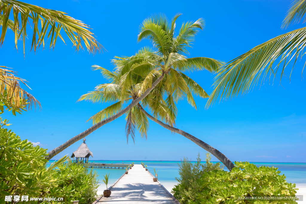 沙滩海岸海滨岛屿图片