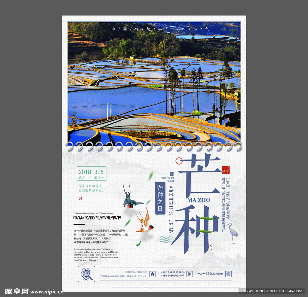 二十四节气芒种