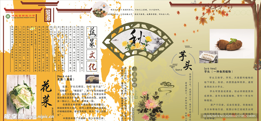 秋天蔬菜简介展板