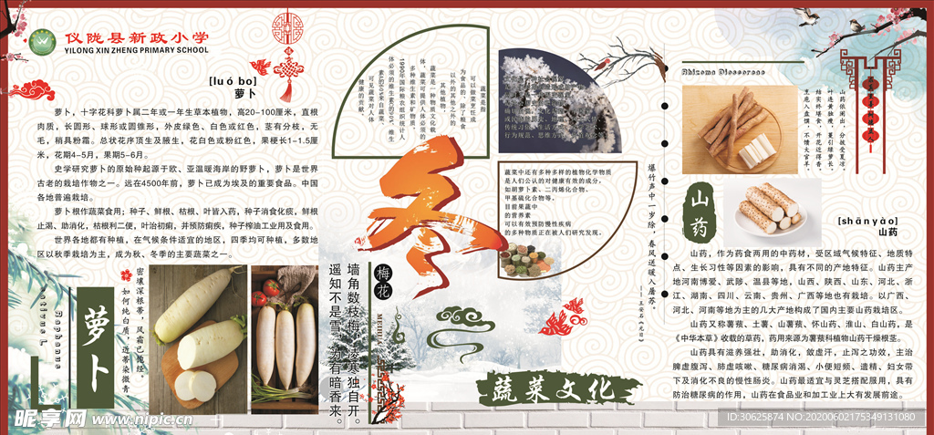 冬天蔬菜简介展板