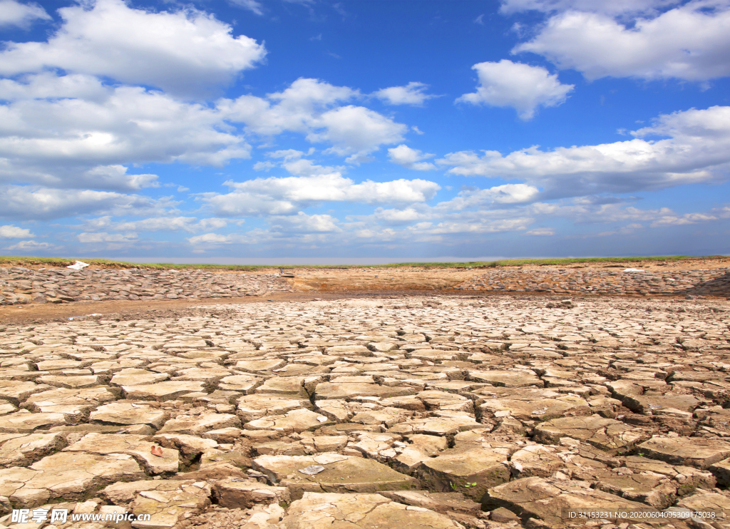 干旱土地