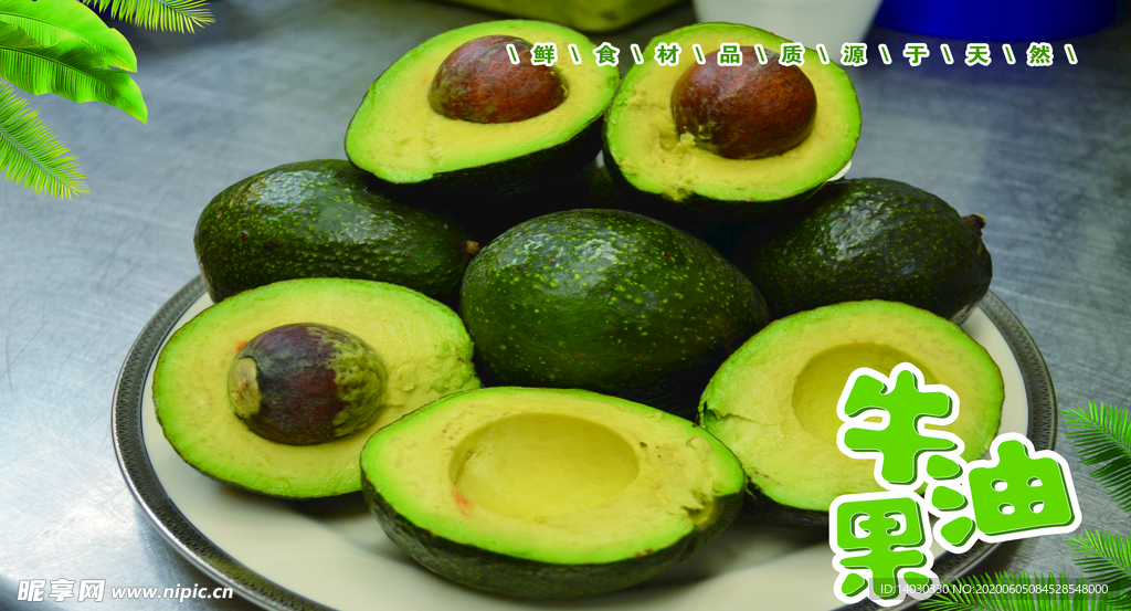 牛油果海报 展板