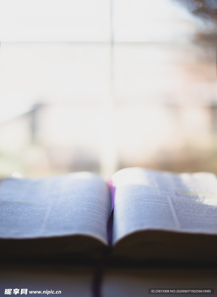 书本看书读书阅读图片