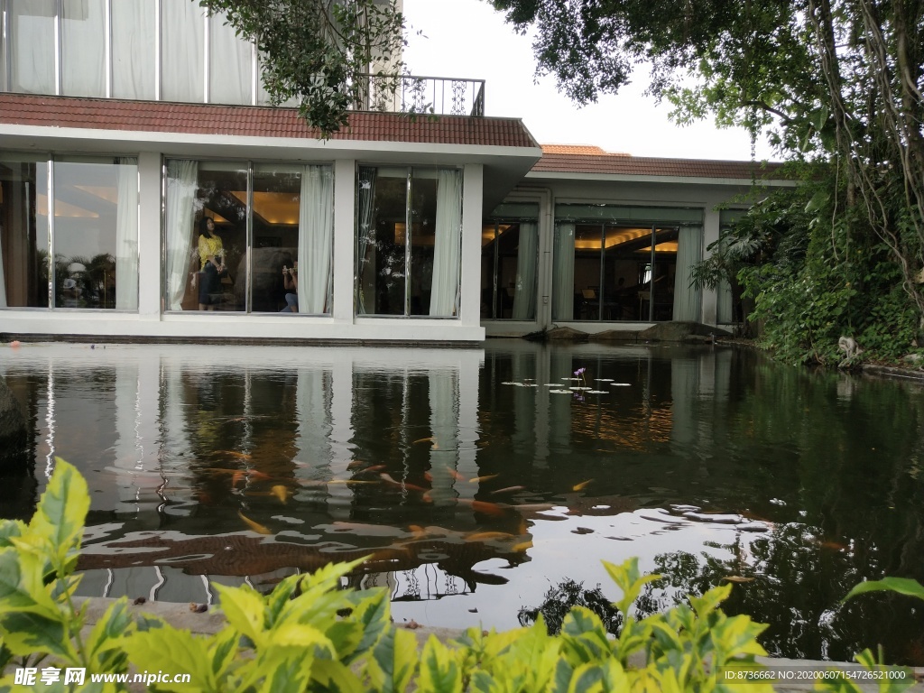 厦门鼓浪屿鱼池塘建筑树木倒影