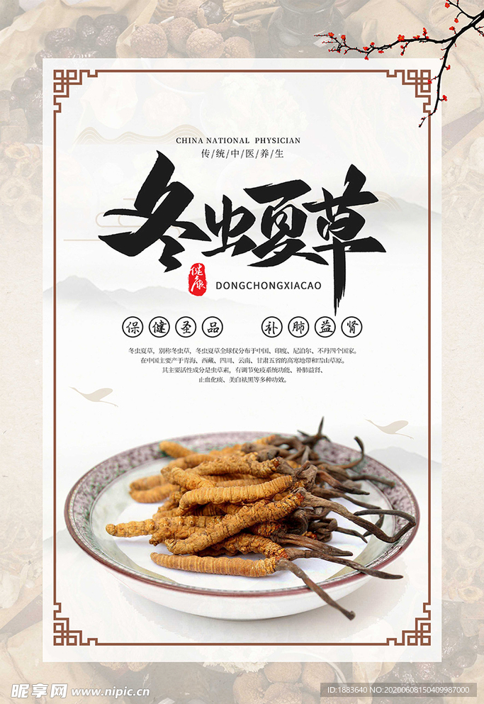 冬虫夏草白色中国风海报