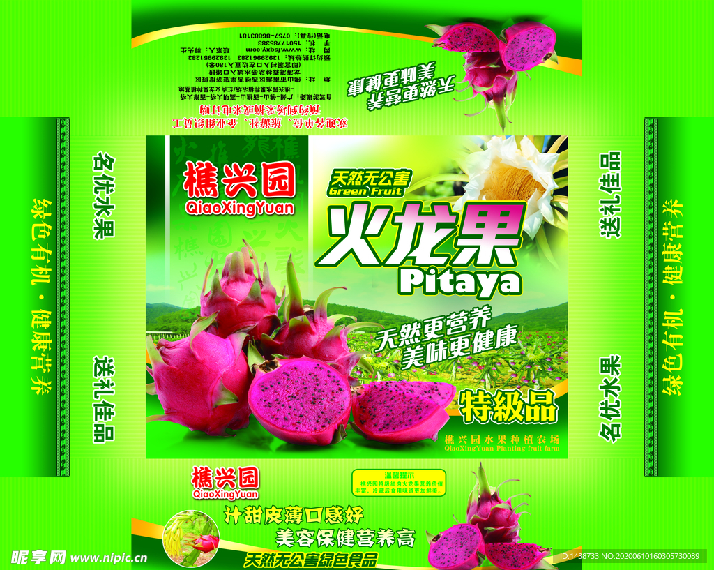 火龙果包装设计