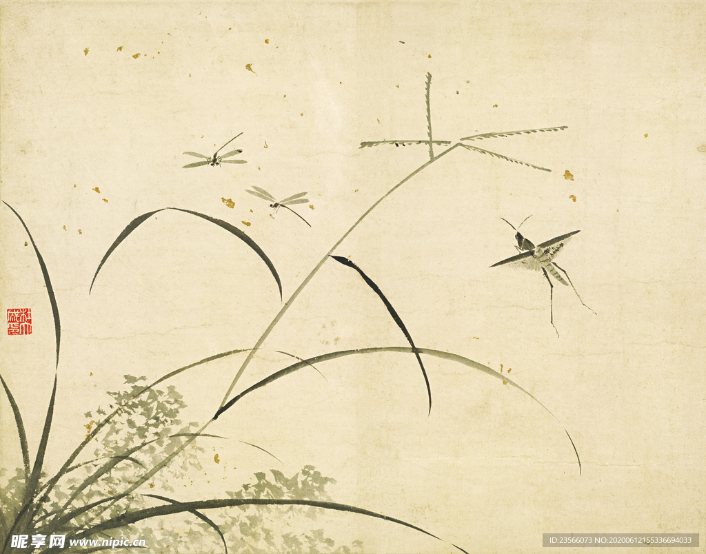 植物花朵工笔画