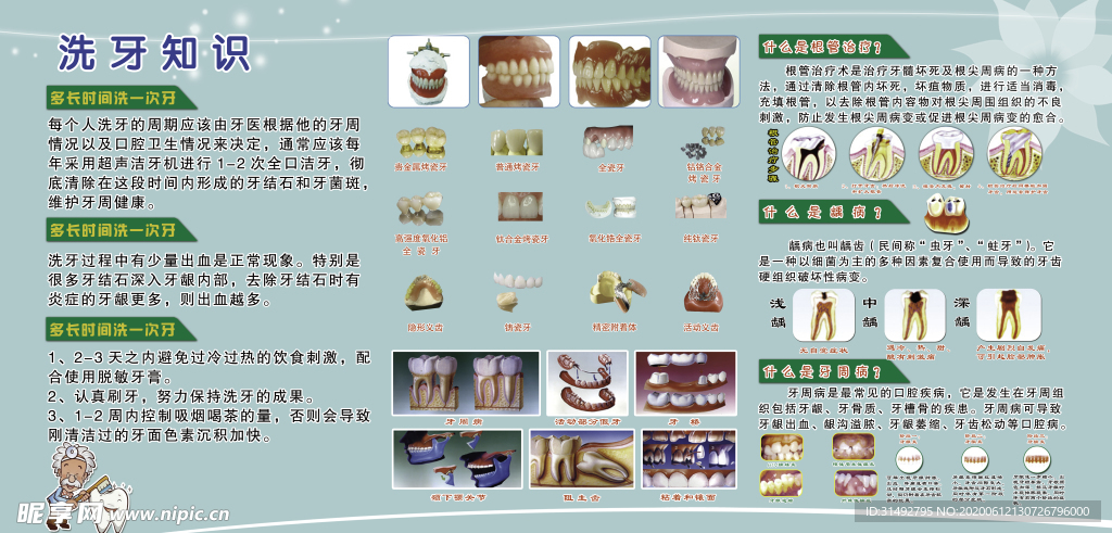 牙科知识