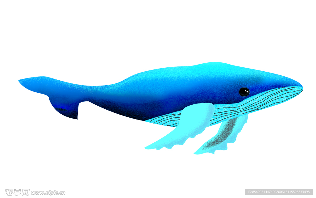 手绘 鲸鱼 插画 噪点 蓝鲸
