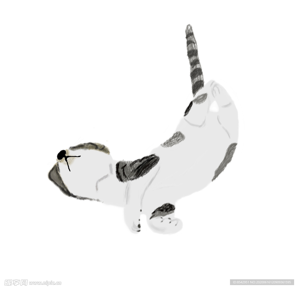 猫 狸猫 睡觉的猫 猫的睡姿