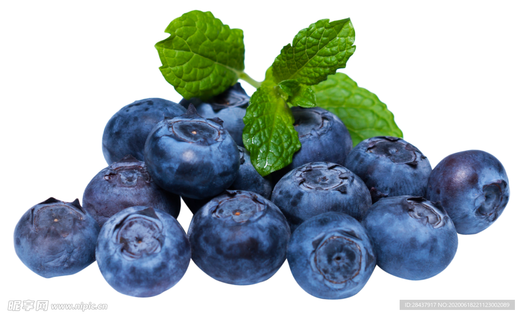 蓝莓png素材