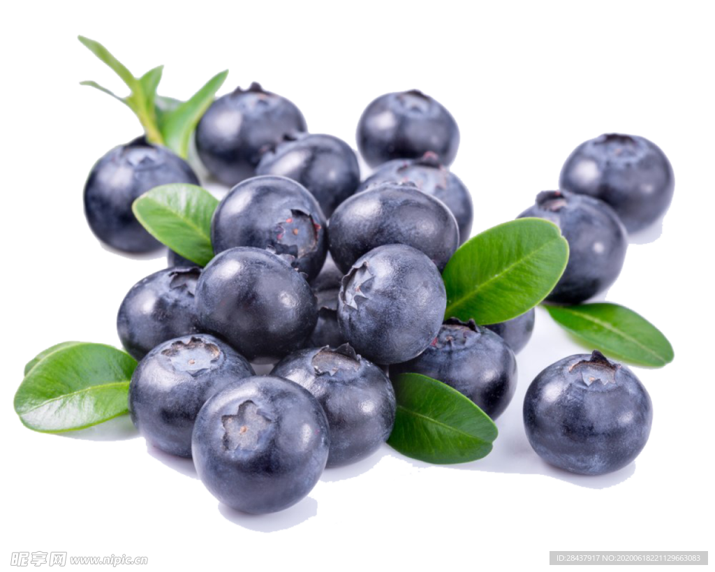 蓝莓png素材