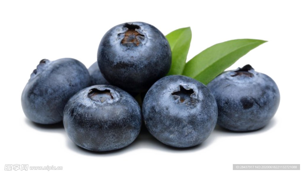 蓝莓png素材