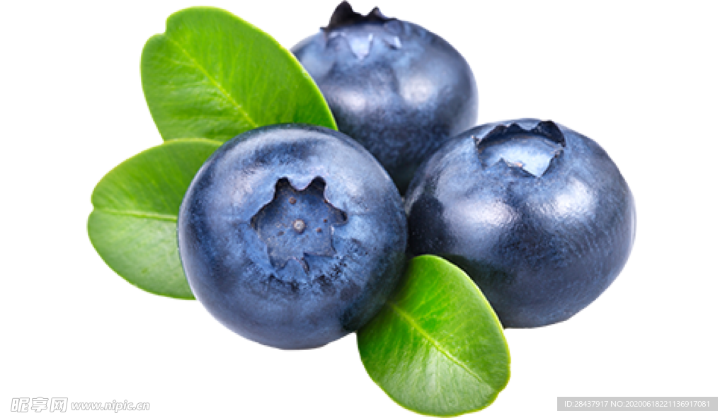 蓝莓png素材