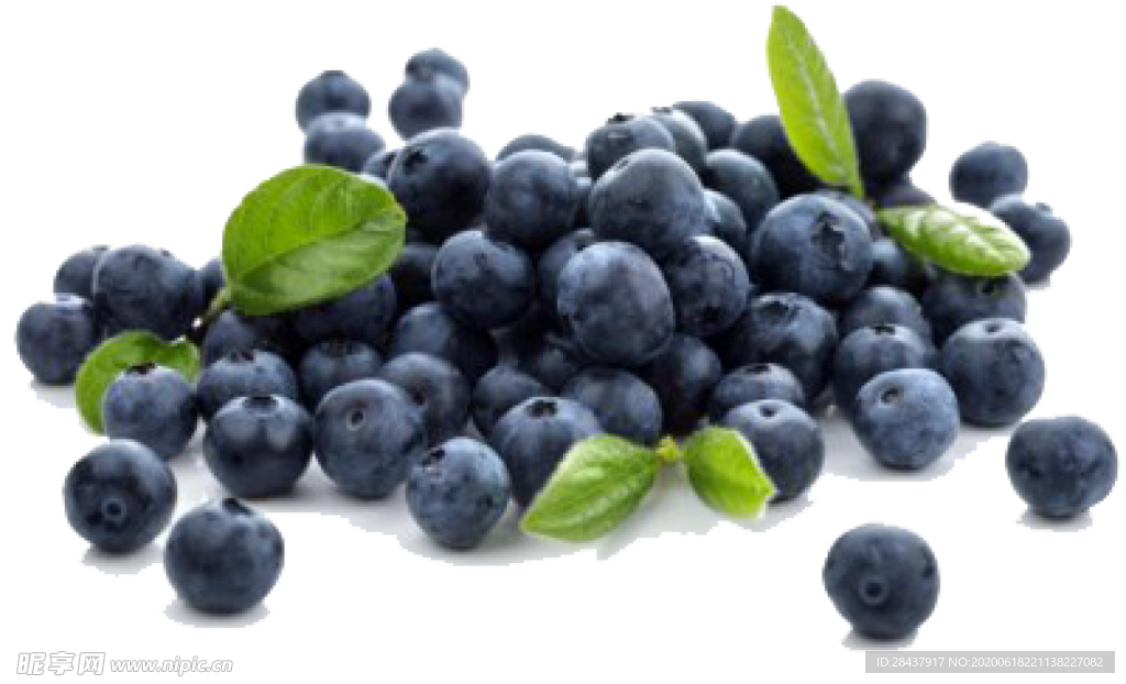 蓝莓png素材