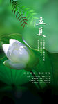 立夏海报
