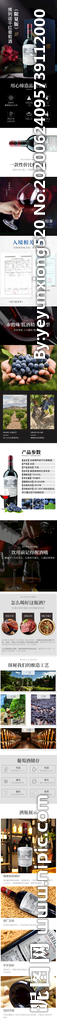 红酒葡萄酒详情页图片