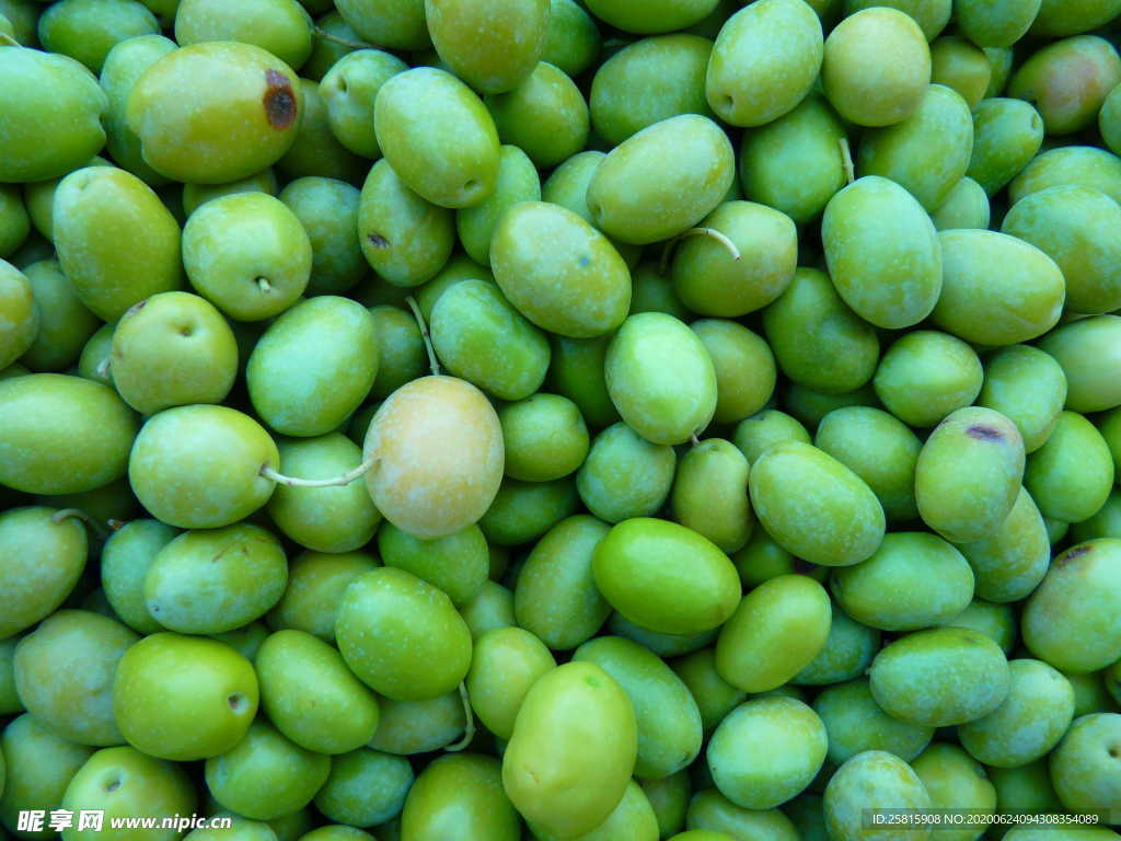 芒果青芒芒果粒图片