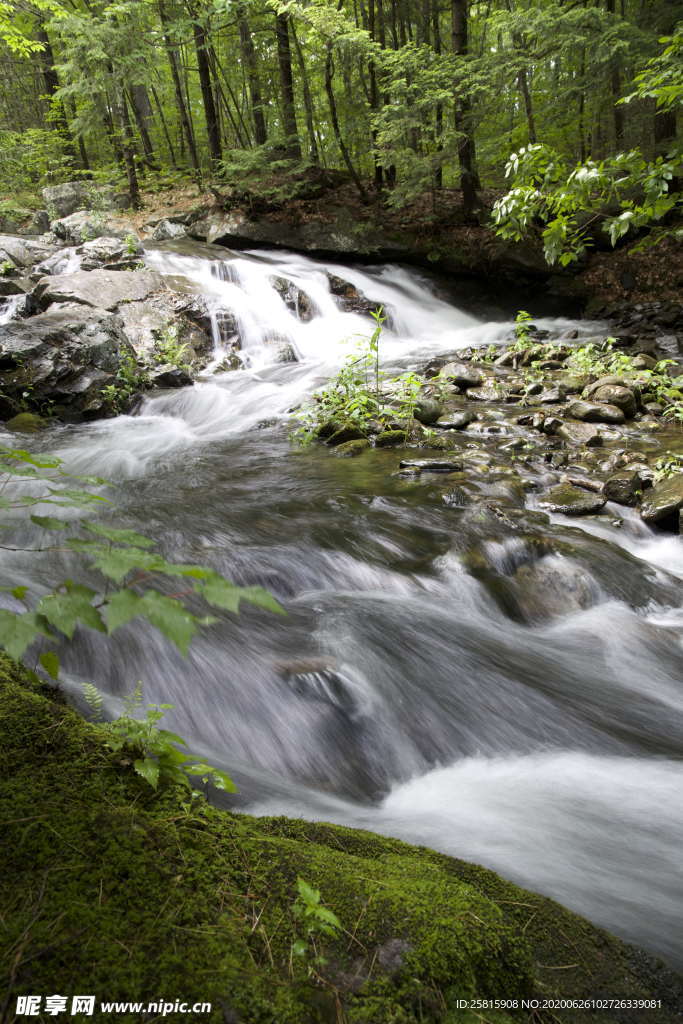 林间溪水山水风景图片
