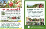 苹果 DM水果 单页 宣传单