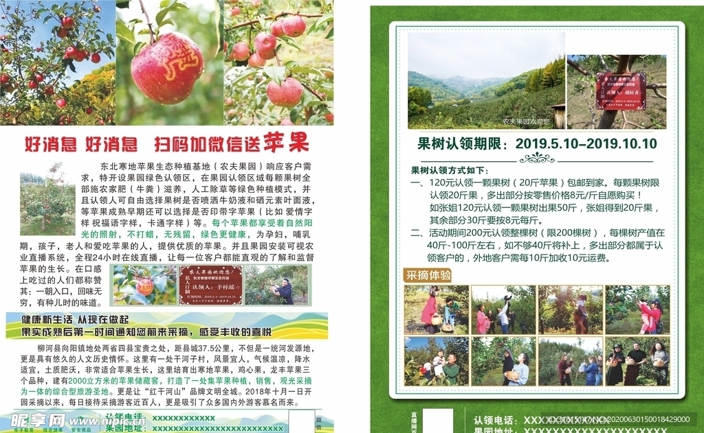苹果 DM水果 单页 宣传单