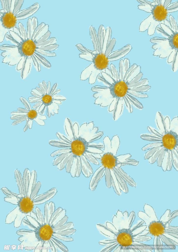 手绘 水彩  雏菊  菊花