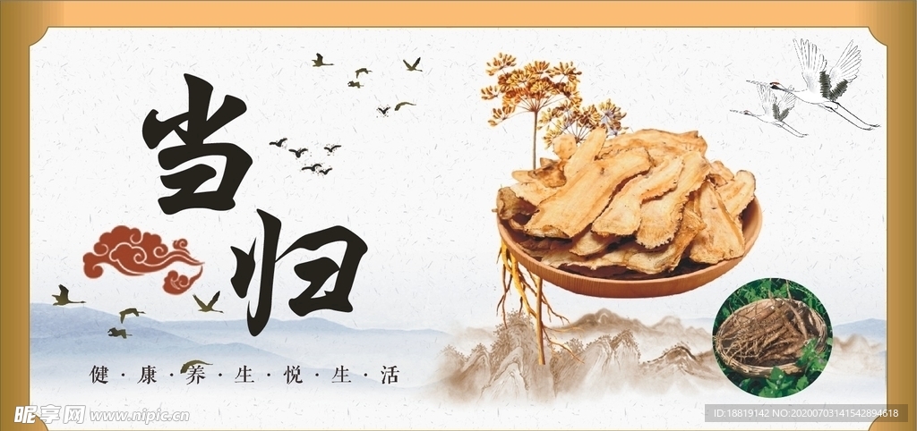 当归 中药材 海报