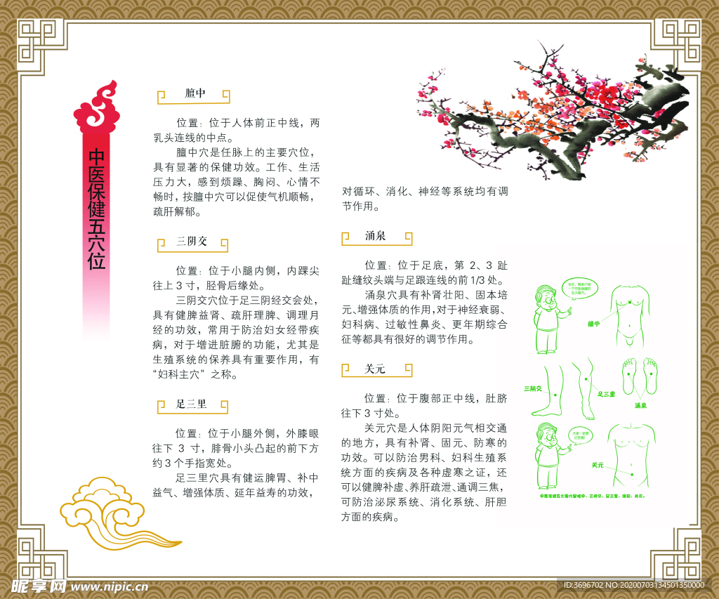 中医 宣传 药物 医院 展架