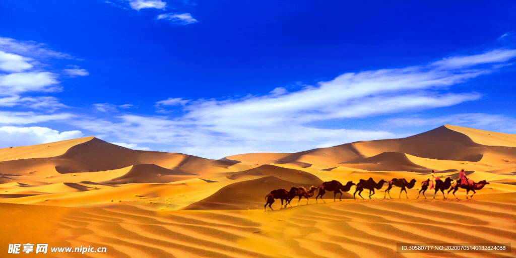蓝天白云 沙漠骆驼 异域风情