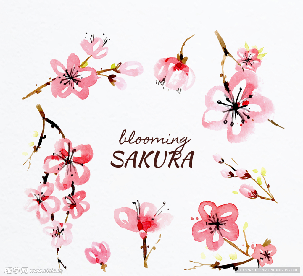 彩绘粉色樱花矢量素材