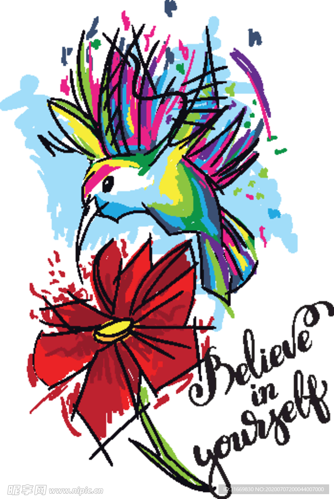 矢量印花花蜂鸟