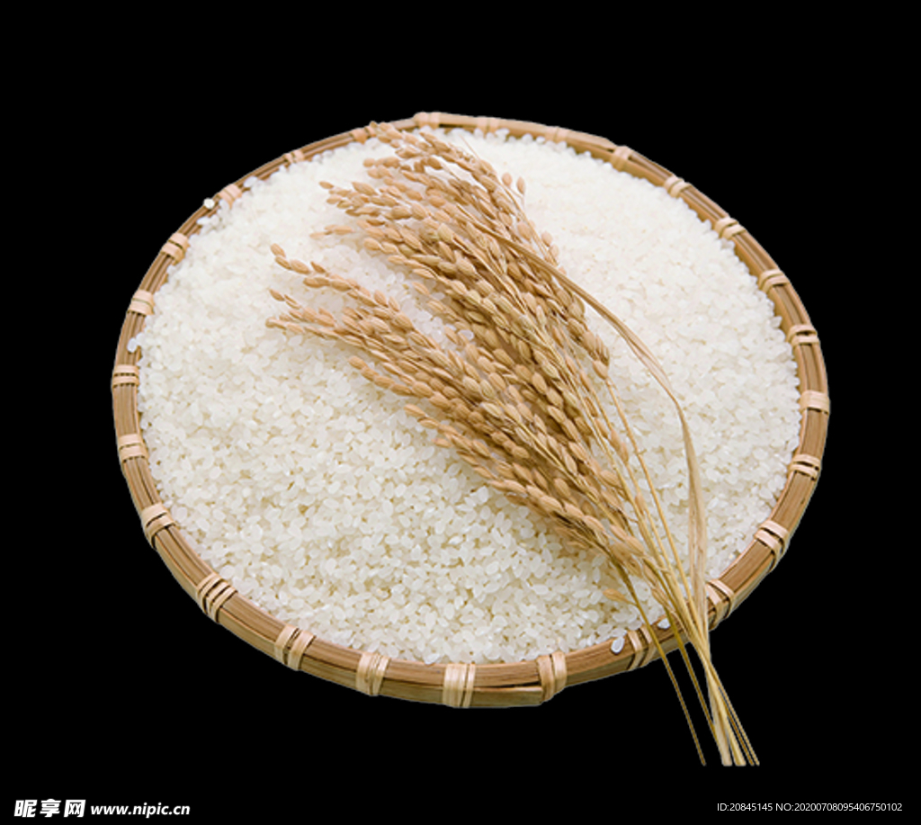 大米 米饭 水稻 稻谷