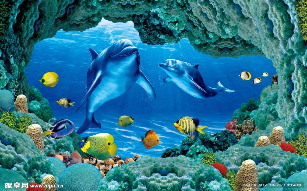 海豚  儿童 可爱 蓝色