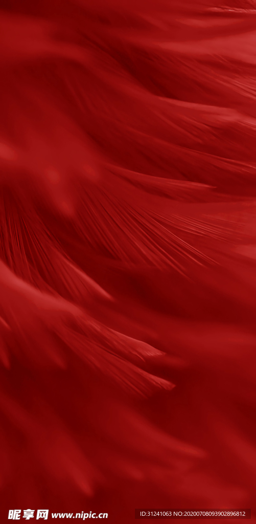 红色背景