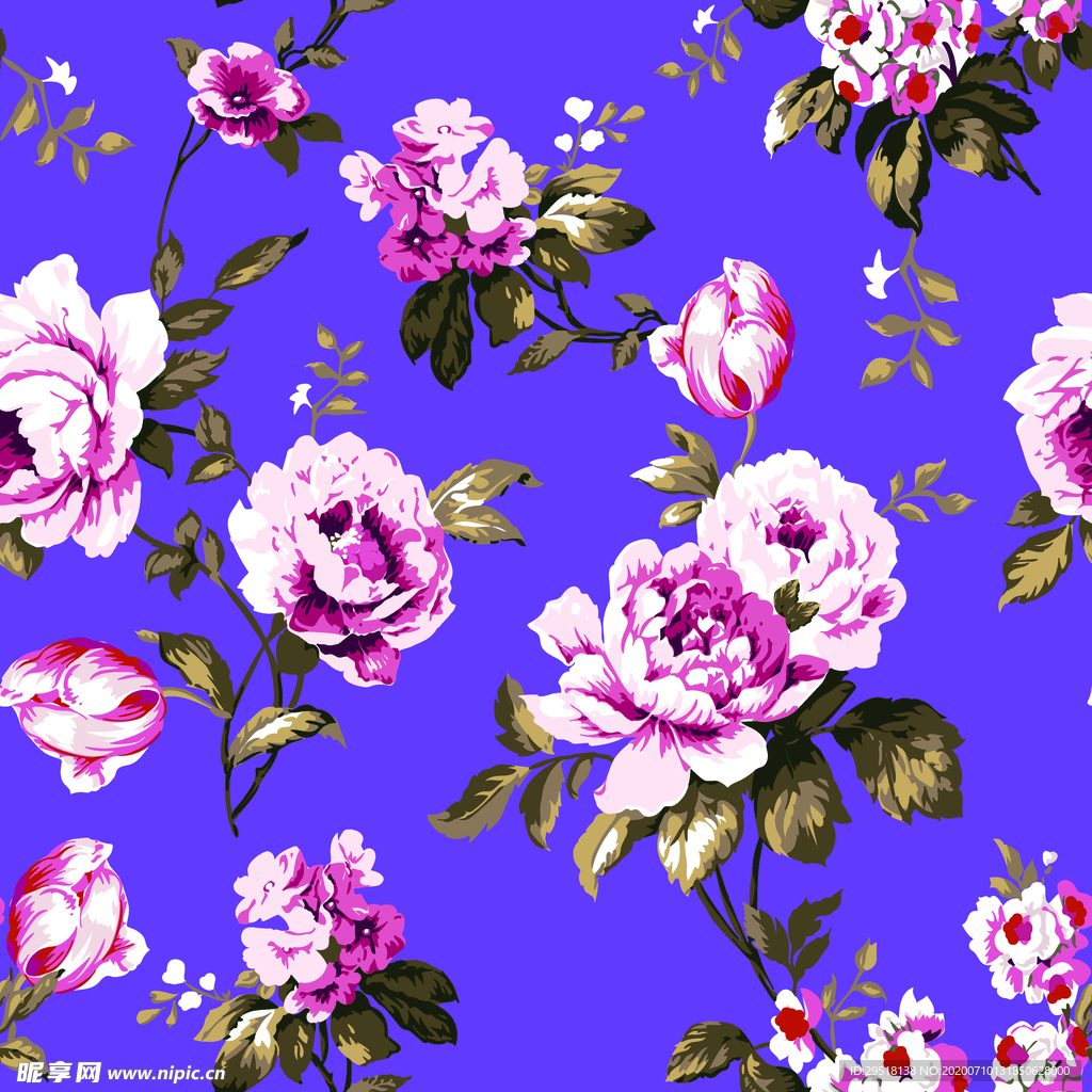 向日葵 菊花 花朵 花卉 素材