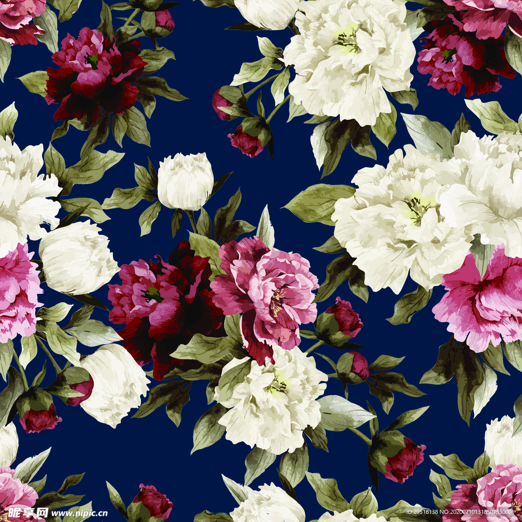 向日葵 菊花 花朵 花卉 素材